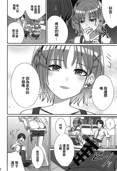 第13页图