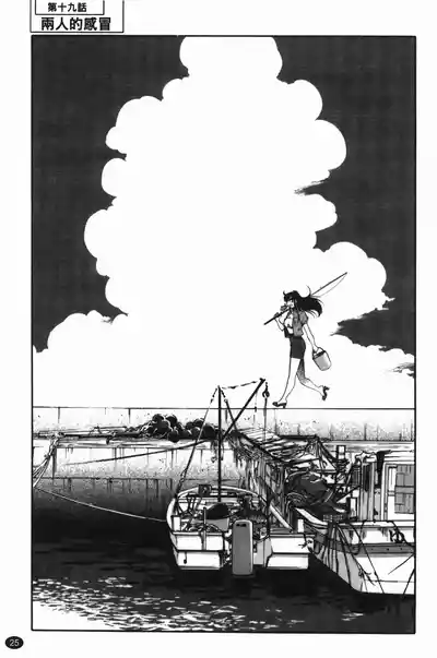第29頁圖