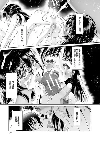 第33页图