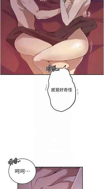 第525頁圖