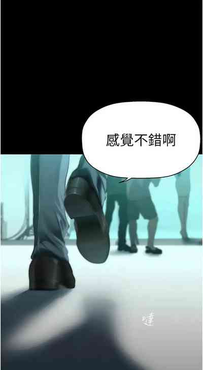 第509页图