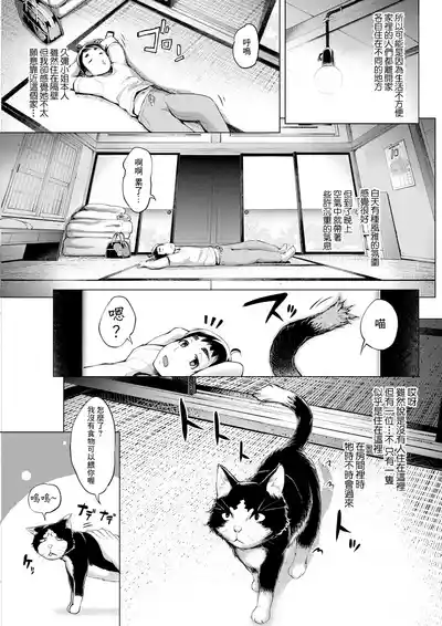 第17页图