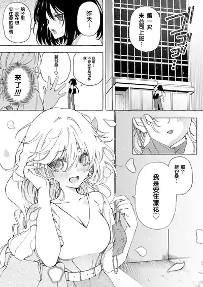 第17页图