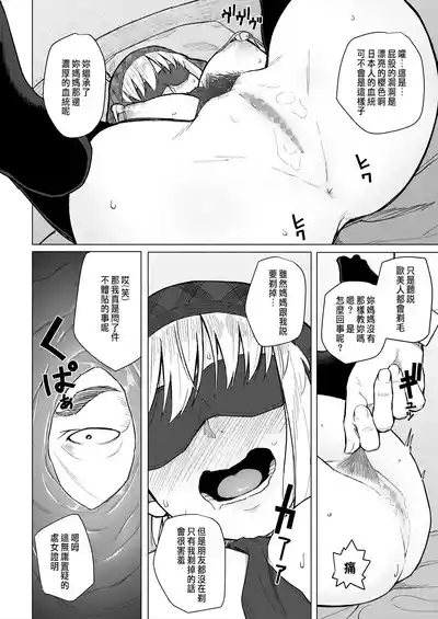 第13页图