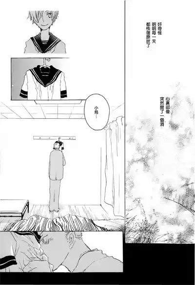 第29頁圖