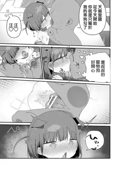 第17页图