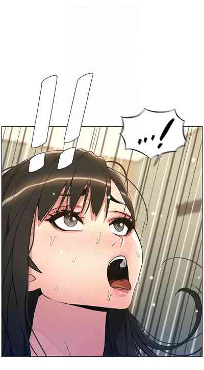 第333頁圖
