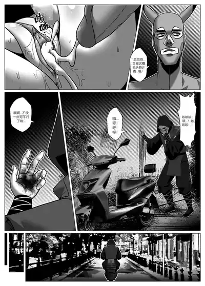 第29頁圖