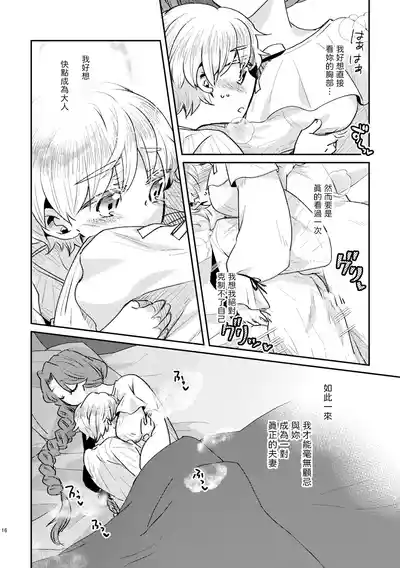 第17页图