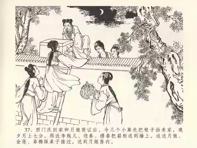 第41頁圖