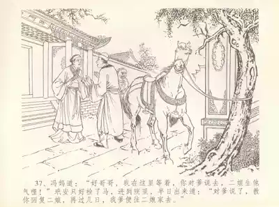 第41頁圖