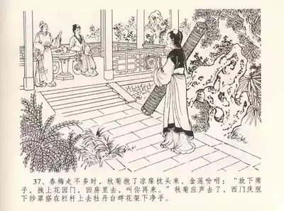第41頁圖