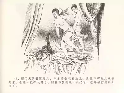 第49页图