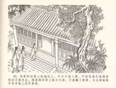 第33頁圖