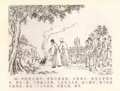 第33页图