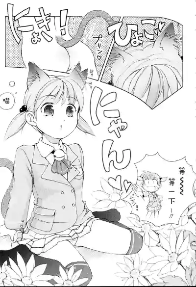 第109頁圖