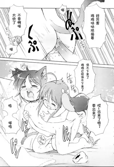第53頁圖