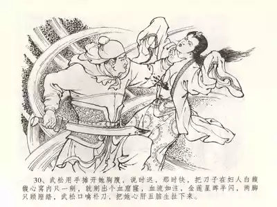第33页图