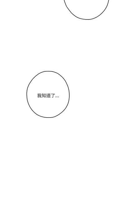 第213頁圖