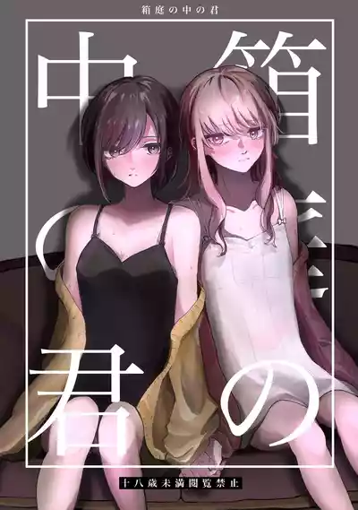 第1页图