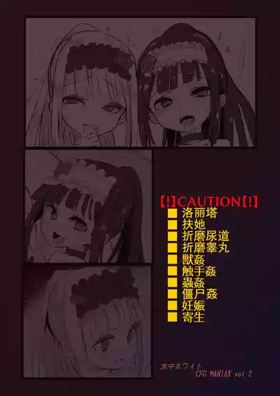 第13頁圖