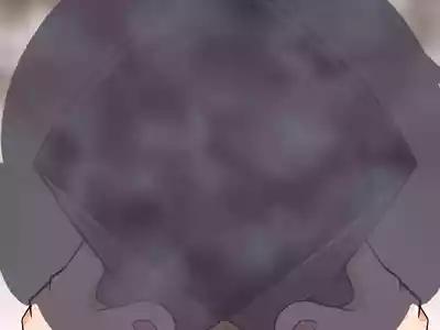 第213頁圖