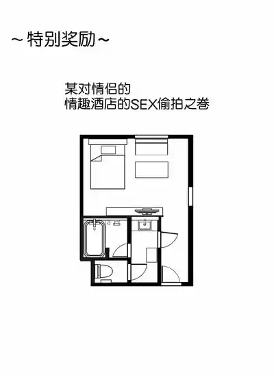 第381页图