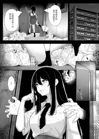 第13頁圖