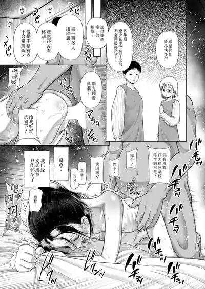 第33页图