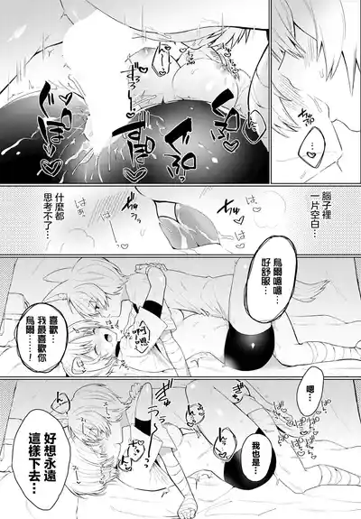 第17頁圖