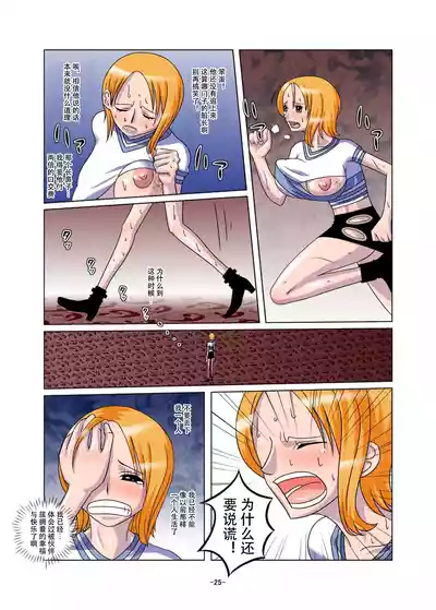 第25页图