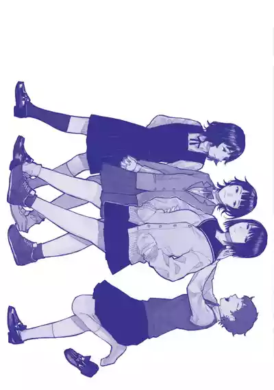 第213页图