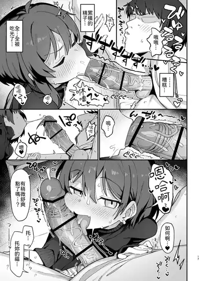 第17页图