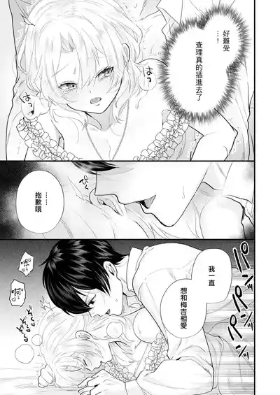 第25页图
