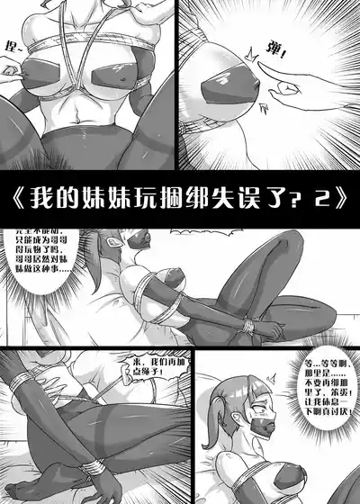 第17页图