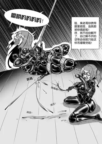 第333页图