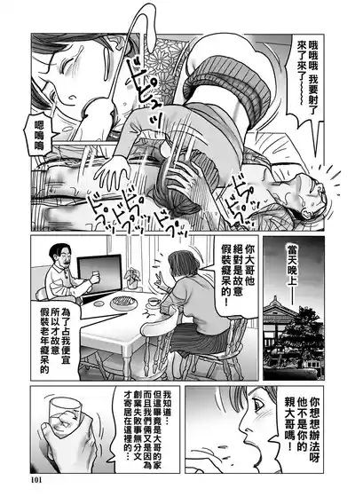 第101页图