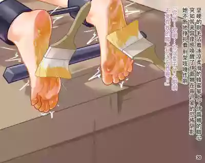 第33页图