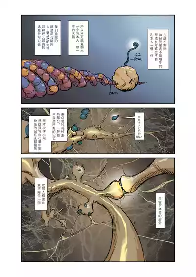 第5頁 封面 - HaSM.cc