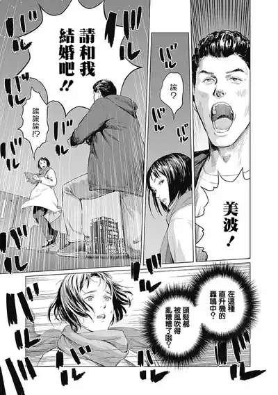 第337頁圖