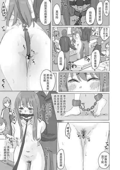 第17页图