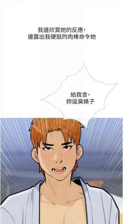 第333頁圖
