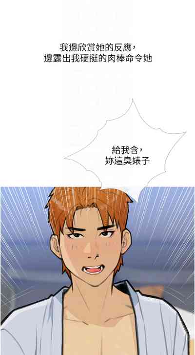第337頁圖