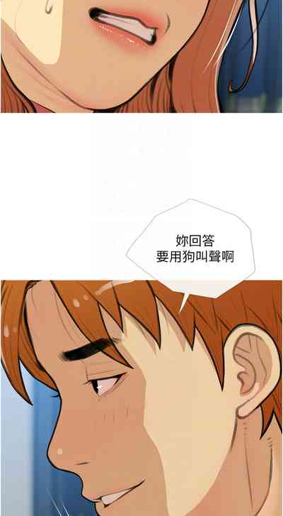 第341頁圖
