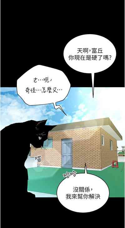 第565頁圖