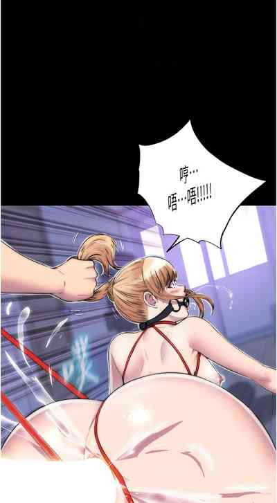 第393頁圖