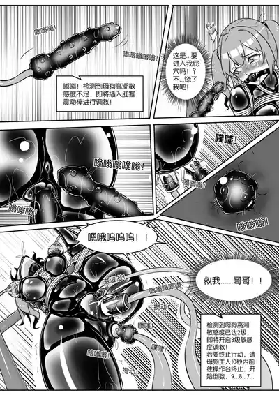 第297頁圖