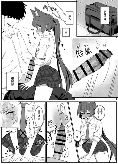 第13页图