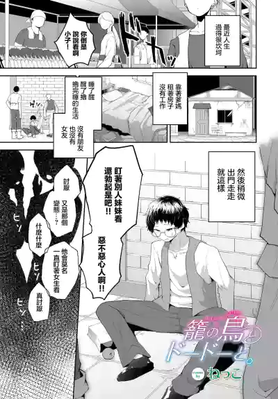 第1页图