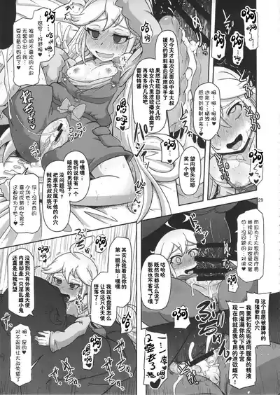 第29页图